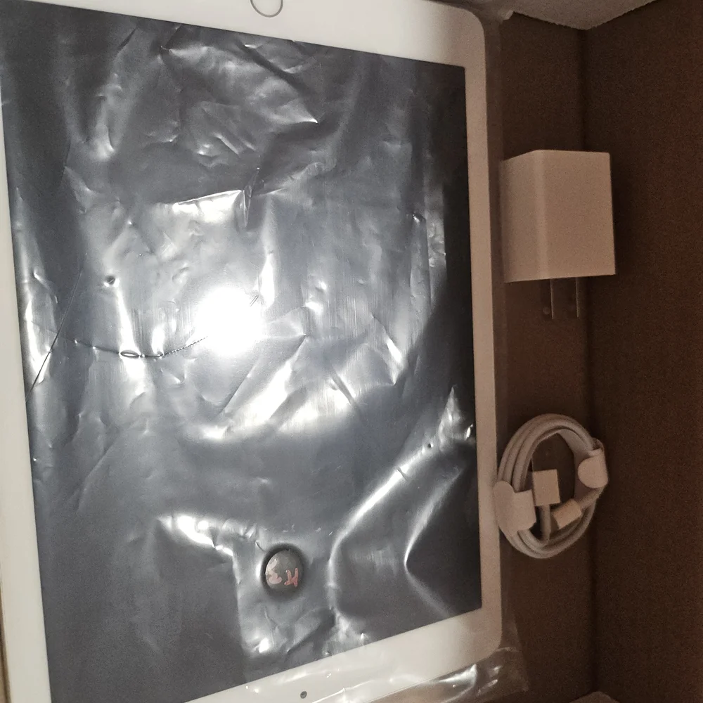 Apple iPad in Sleek Silver